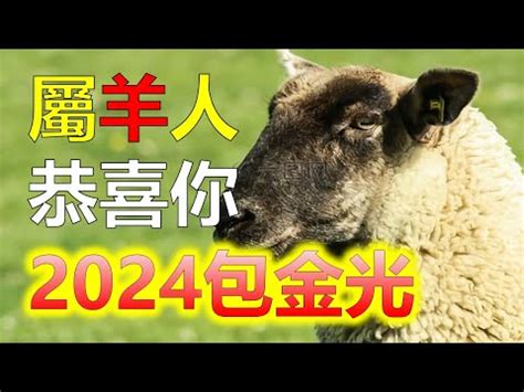 屬羊財位2023|【屬羊財位2023】屬羊人2023年財位：關鍵方位 & 最佳發財時。